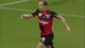 Ligue 1 Bzh GIF by EA Guingamp