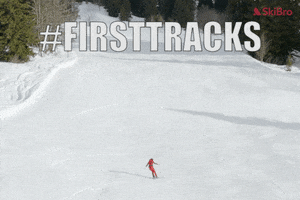 SkiBro GIF