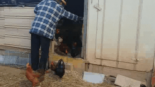 skoczek z linii GIF