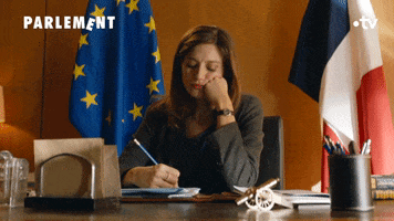 Parlement GIF by France tv