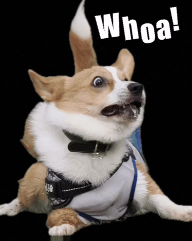 Whoa GIF