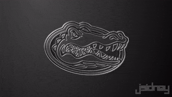 Georgia GIF