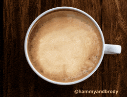 Good Morning Dog GIF by HammyandBrody