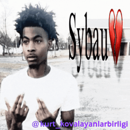 Kurtkovalayanlarbirligi GIF