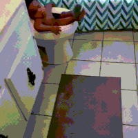 Kid Toilet GIF