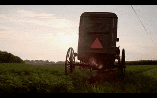 200.gif