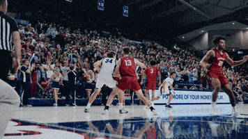 Spin Gonzaga GIF by zagsgotdudes