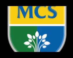 MCS96  GIF