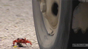 Close Call GIF - Find & Share on GIPHY