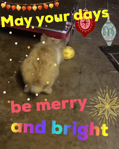 Be Merry GIF