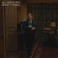 Surprise Glee GIF by All Creatures Great And Small
