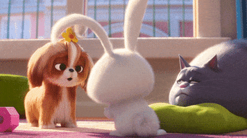 Cat Listen GIF by The Secret Life Of Pets