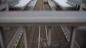 Duchieudav  GIF