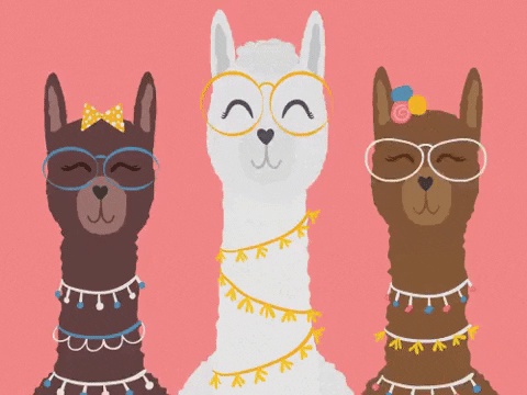 Llamas Gifs Get The Best Gif On Giphy