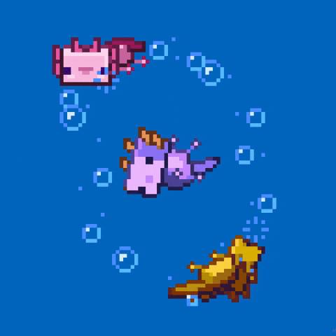 Illustrated gif. Pink and yellow pixelated axolotls from Minecraft swim in circles around a purple axolotl who flips upside-down.