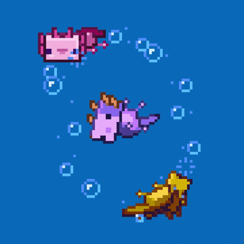 Illustrated gif. Pink and yellow pixelated axolotls from Minecraft swim in circles around a purple axolotl who flips upside-down.
