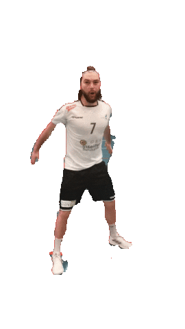 HSG Leimental Sticker