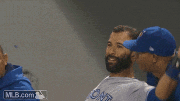 toronto blue jays play fight GIF by MLB