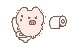 小豬 Sticker