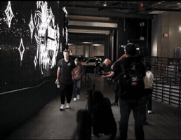 Las Vegas Raiders GIF