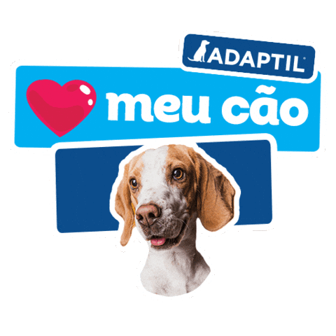 Ceva Brasil Sticker