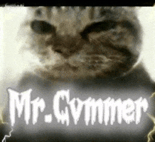 Cat Michelin GIF