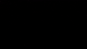 lacerqua GIF