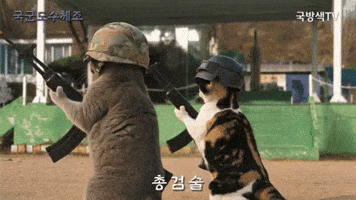 국군 도수체조 GIF