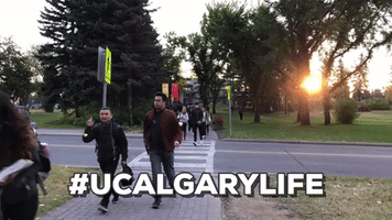 canada canadian universities GIF by University of Calgary