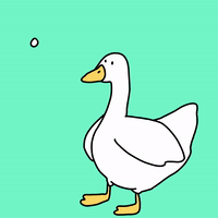 Cartoon-duck GIFs - Get the best GIF on GIPHY