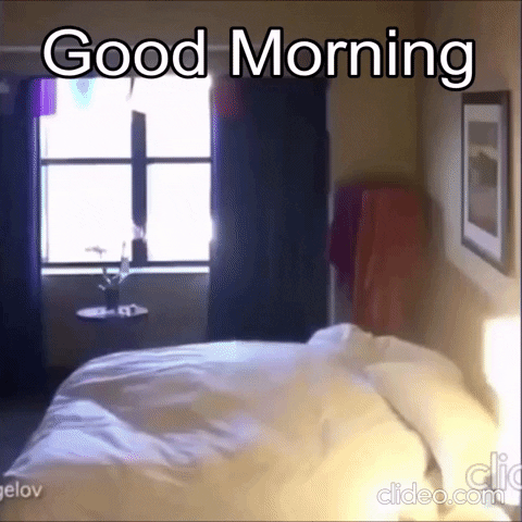 Good Morning GIF