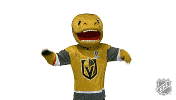 Ice Hockey Sport GIF by NHL