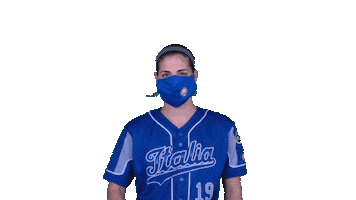 Italia Italiateam Sticker by FIBS - Federazione Italiana Baseball Softball