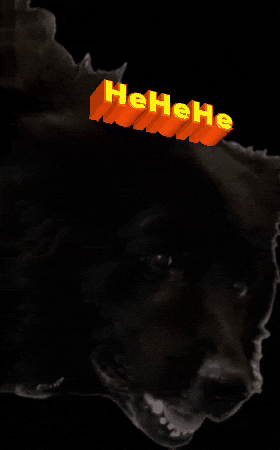 K9Graphics.com GIF