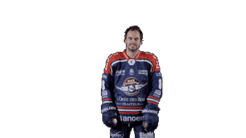 Ducs Dangers Hockey Sticker by Les Ducs d'Angers