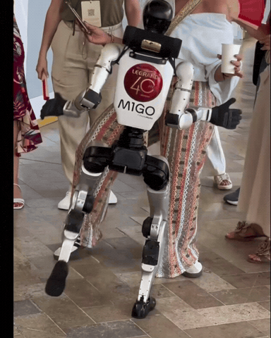 Dance Robot GIF