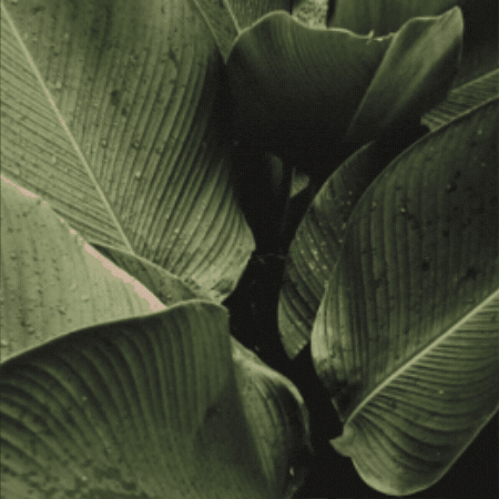 GIF by Bagatelle