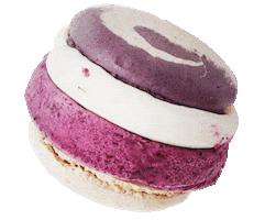 Jö Makrönchen Sticker