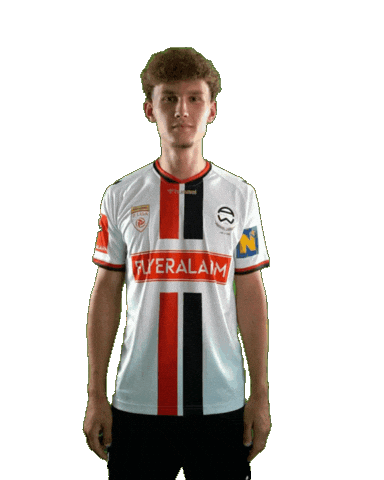 Admira Sticker by KSV1919