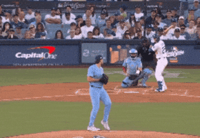 Blue Jays Canada GIF by Toronto Blue Jays