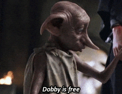 Dobby Is Free GIFs - Find & Share on GIPHY
