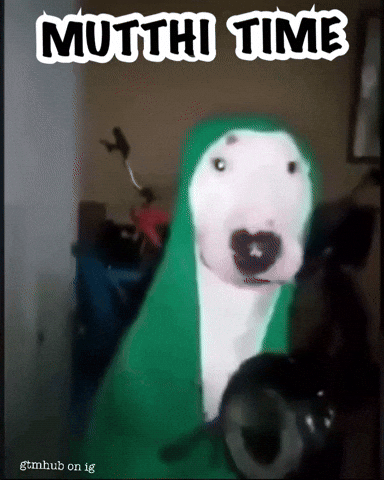 White Dog GIF