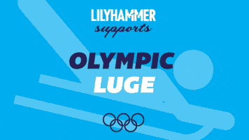 2014 olympics lol GIF by Lilyhammer