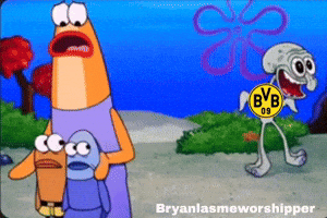 Football Schalke GIF