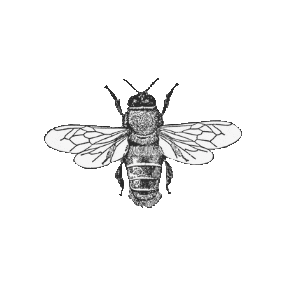 Honey x Hive Sticker