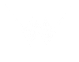 W Hair Concept Sticker