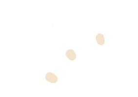 Werkkunstschule Lübeck Sticker