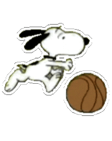Basketball Ball Sticker