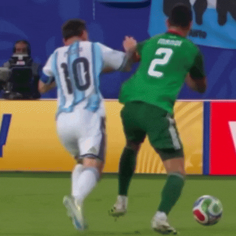World Cup Argentina GIF
