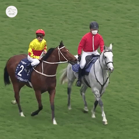 Hong Kong Sport GIF by World Horse Racing